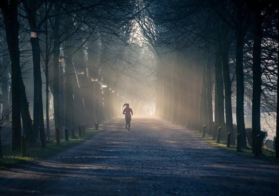 backlit-early-fog-878151