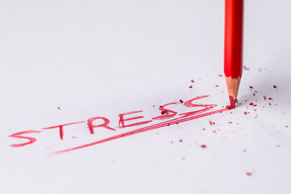 Bankruptcy Stress