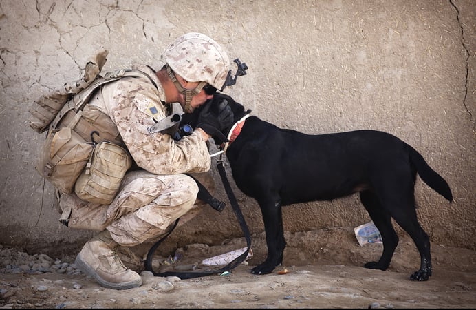 soldier-dog-companion-service.jpg